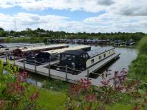 Willington's marina